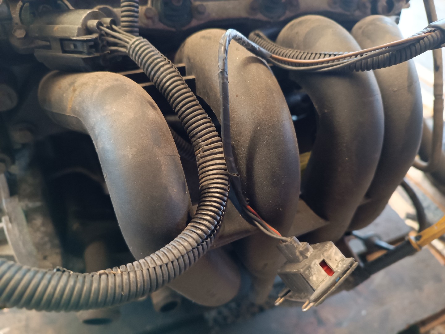 Motor FORD FIESTA IV (JA_, JB_) | 95 - 02 Imagem-1