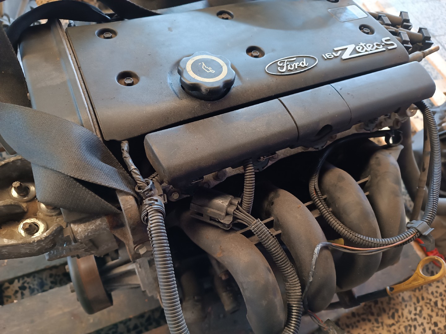 Motor FORD FIESTA IV (JA_, JB_) | 95 - 02 Imagem-8