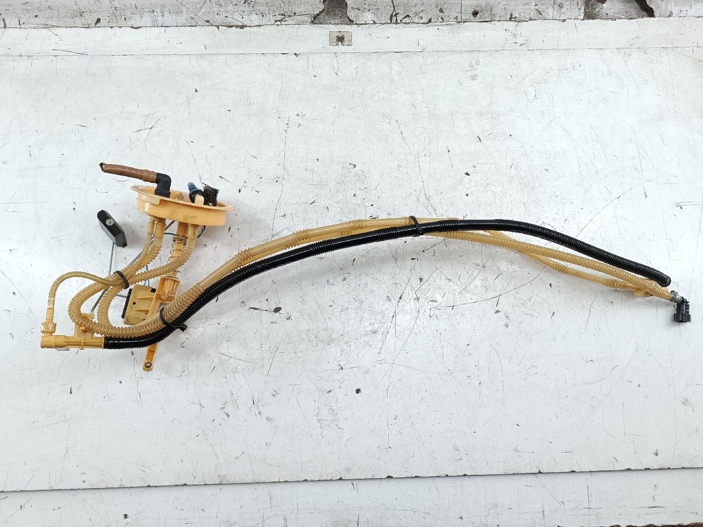 Boia do Combustível BMW 1 (E87) | 03 - 13