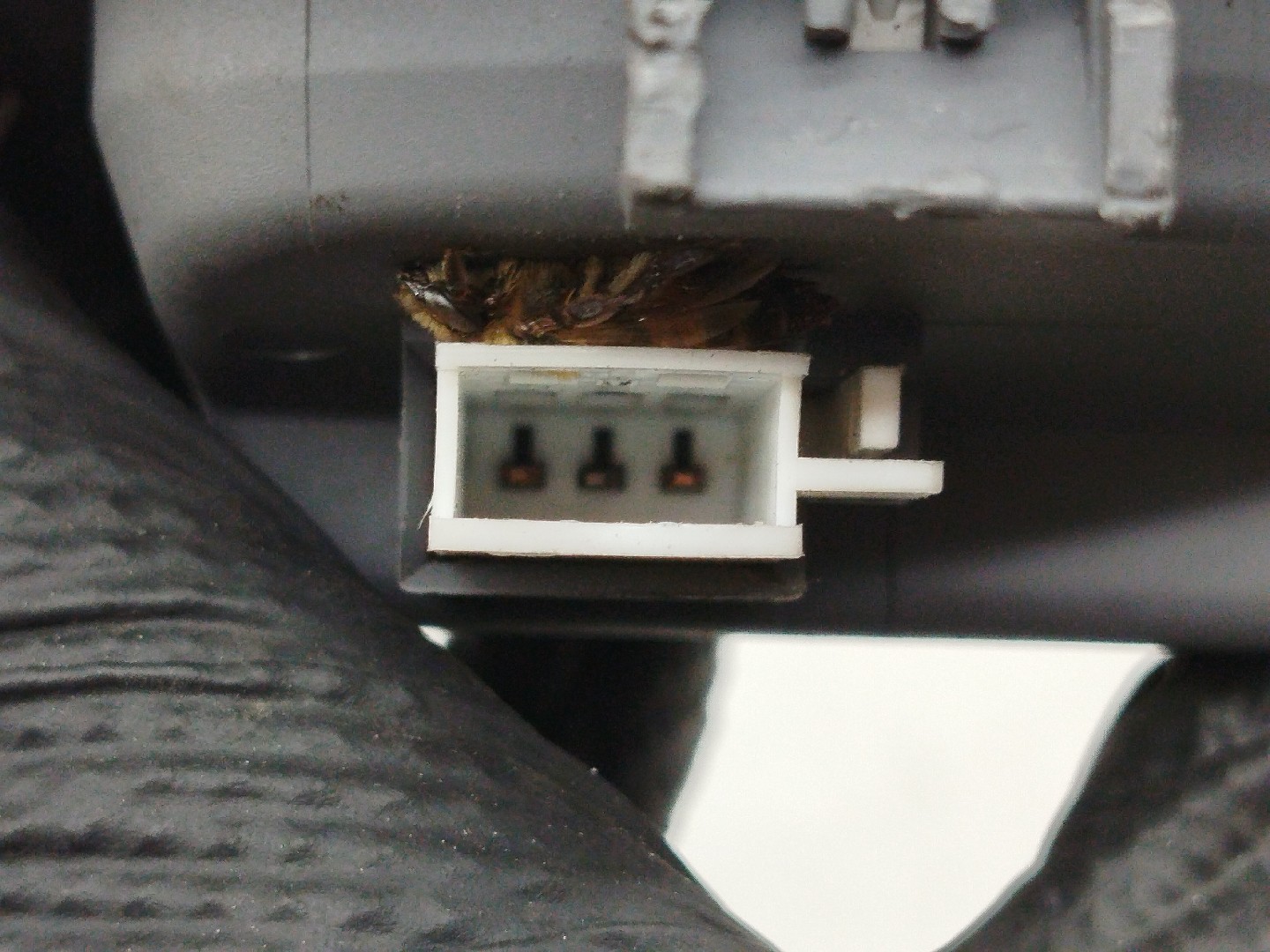 Luz interior RENAULT CLIO II (BB_, CB_) | 98 -  Imagem-4