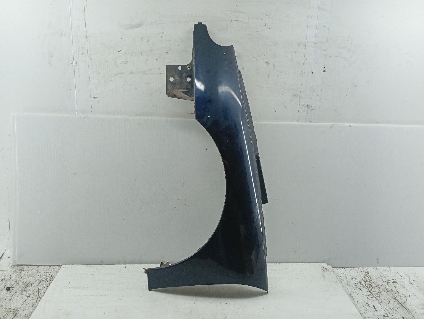 Guarda Lamas Esquerdo RENAULT LAGUNA I (B56_, 556_) | 93 - 02