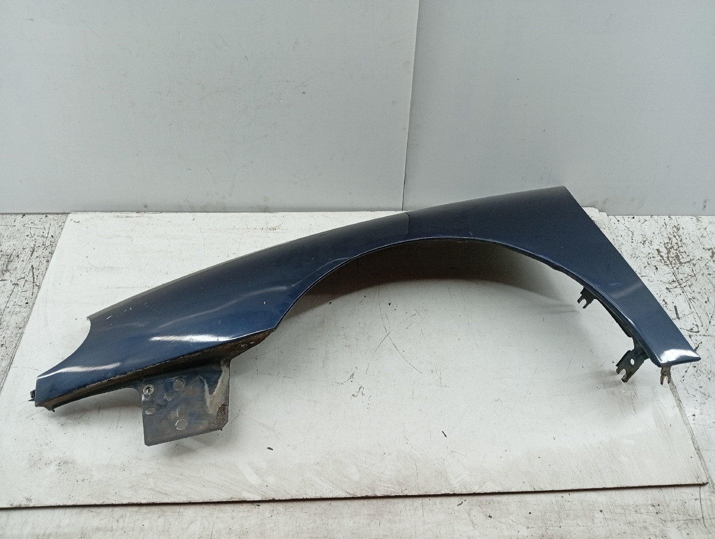 Guarda Lamas Esquerdo RENAULT LAGUNA I (B56_, 556_) | 93 - 02 Imagem-2