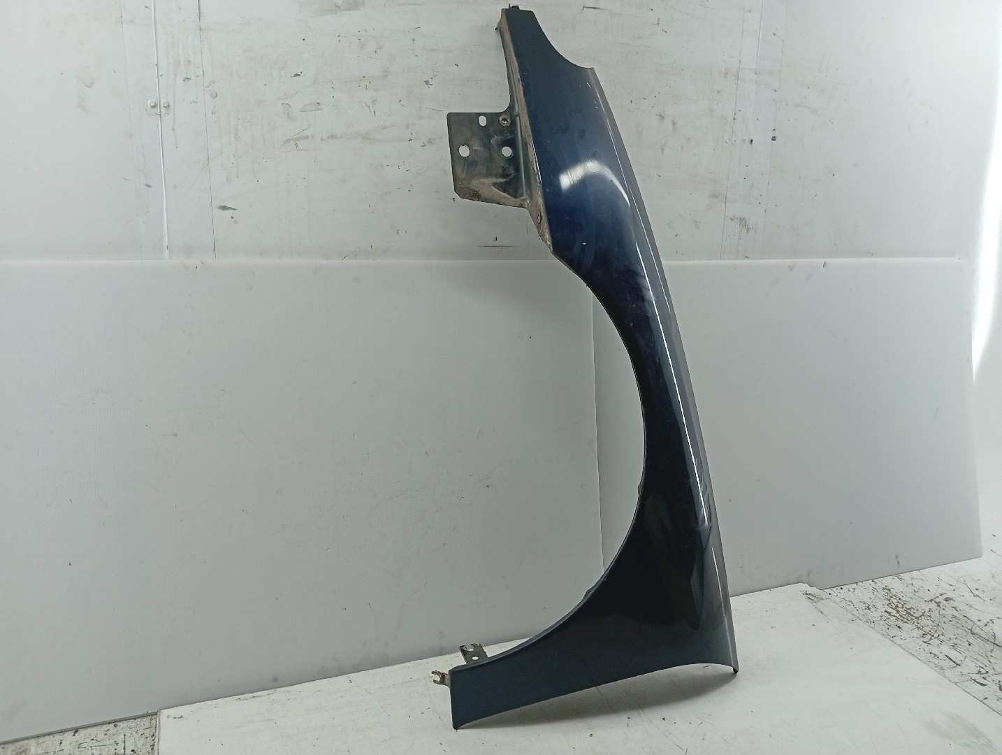 Guarda Lamas Esquerdo RENAULT LAGUNA I (B56_, 556_) | 93 - 02 Imagem-1