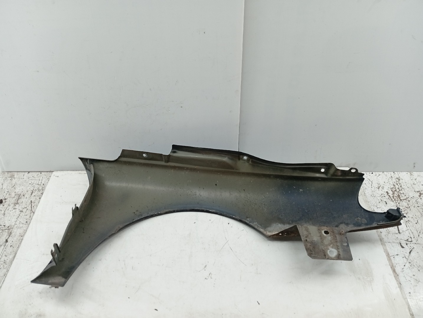 Guarda Lamas Esquerdo RENAULT LAGUNA I (B56_, 556_) | 93 - 02 Imagem-4