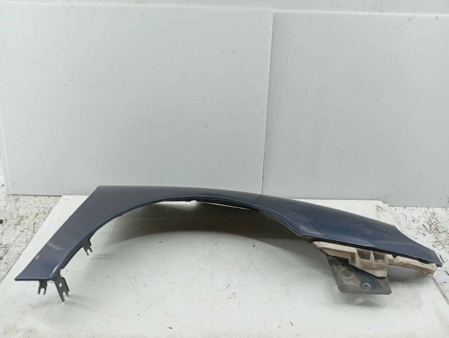 Guarda Lamas Direito RENAULT LAGUNA I (B56_, 556_) | 93 - 02 Imagem-1