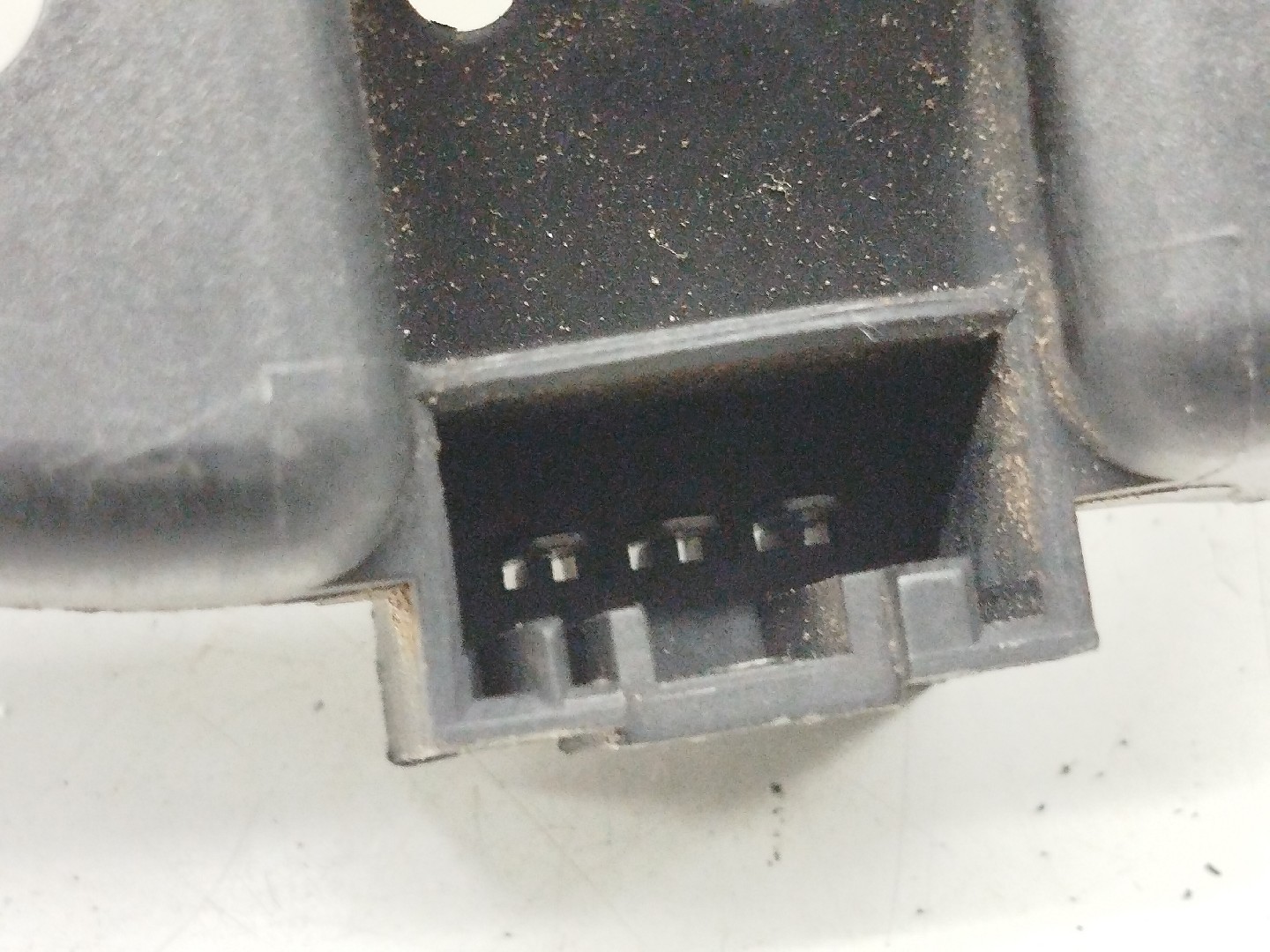 Suporte de Lampadas BMW 3 (E46) | 97 - 05 Imagem-3