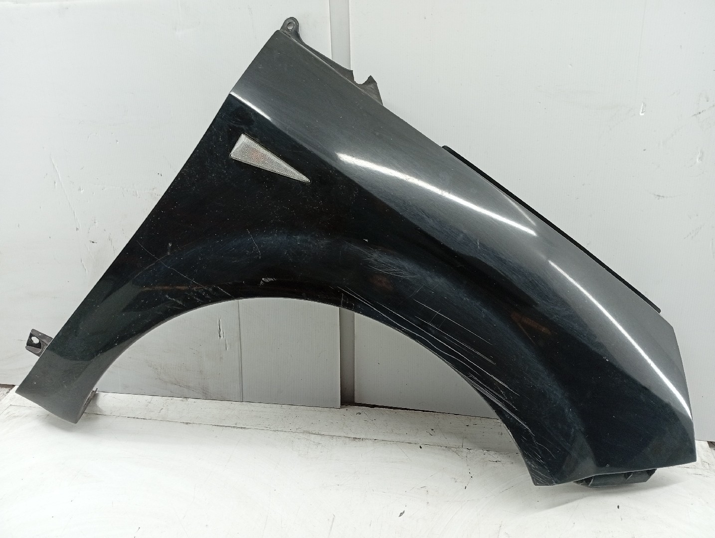 Guarda Lamas Direito RENAULT GRAND SCÉNIC II (JM0/1_) | 04 - 09 Imagem-1