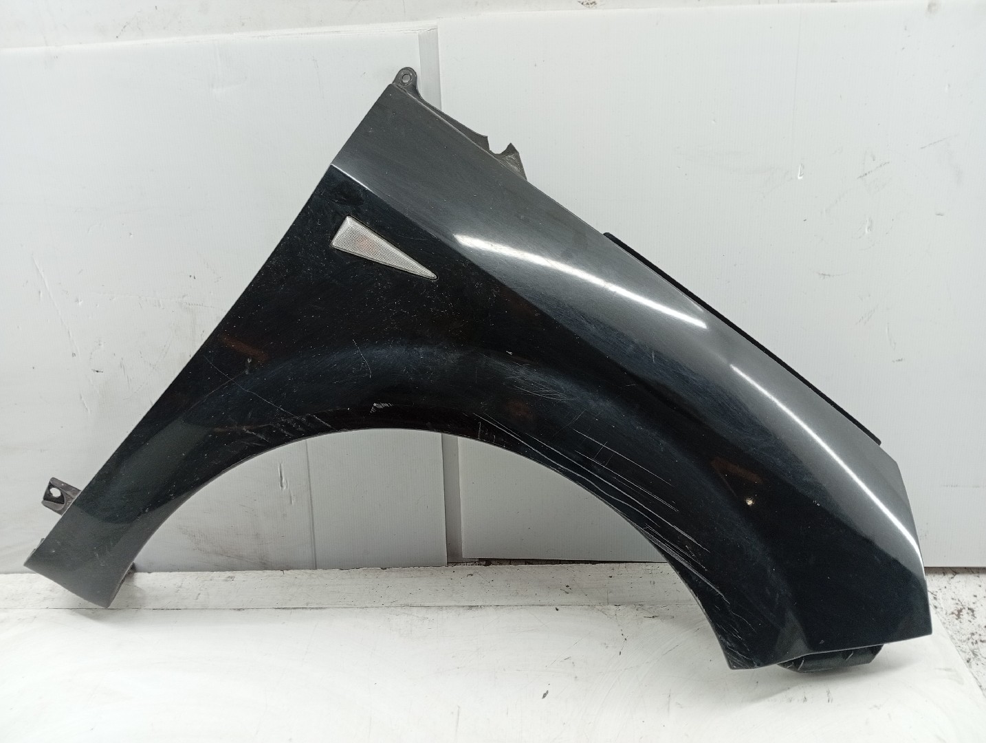 Guarda Lamas Direito RENAULT GRAND SCÉNIC II (JM0/1_) | 04 - 09 Imagem-5