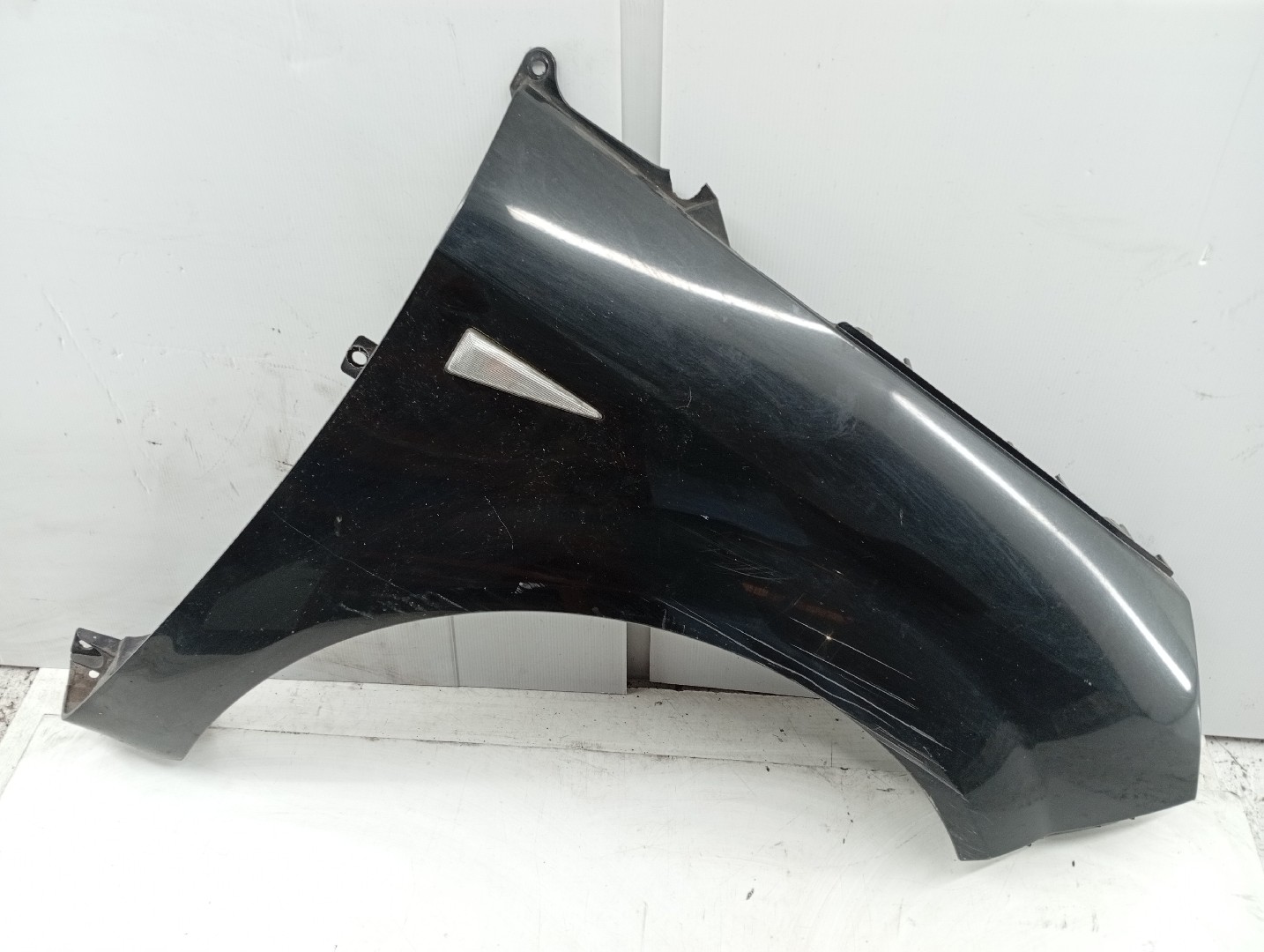 Guarda Lamas Direito RENAULT GRAND SCÉNIC II (JM0/1_) | 04 - 09 Imagem-3