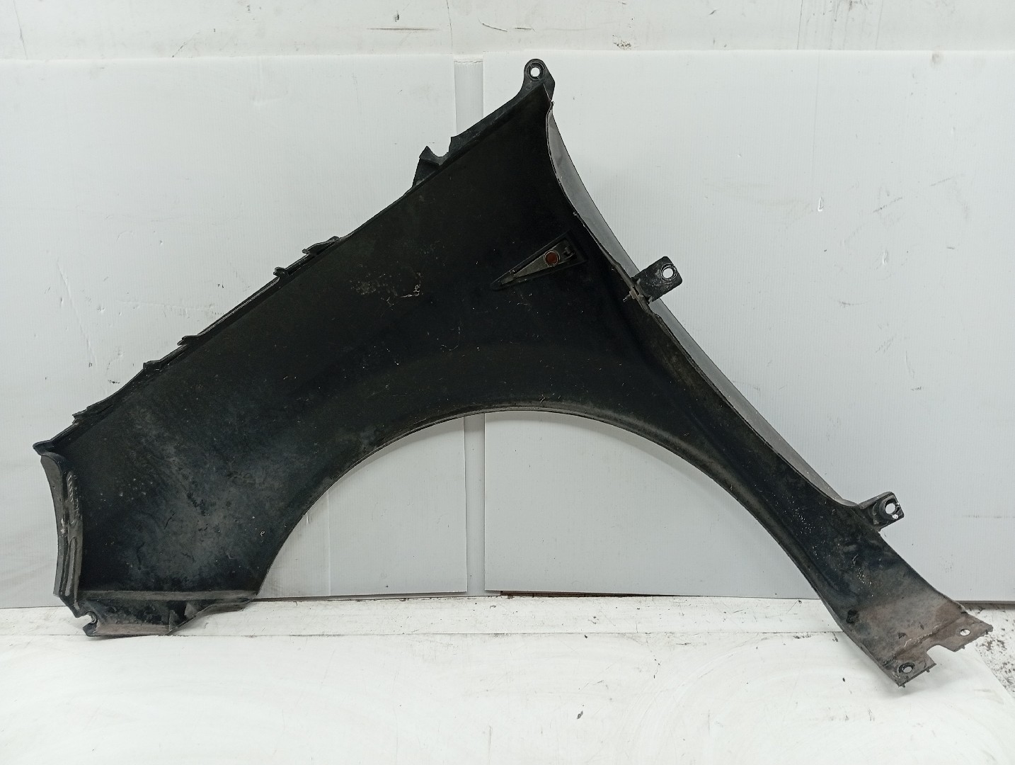 Guarda Lamas Direito RENAULT GRAND SCÉNIC II (JM0/1_) | 04 - 09 Imagem-4