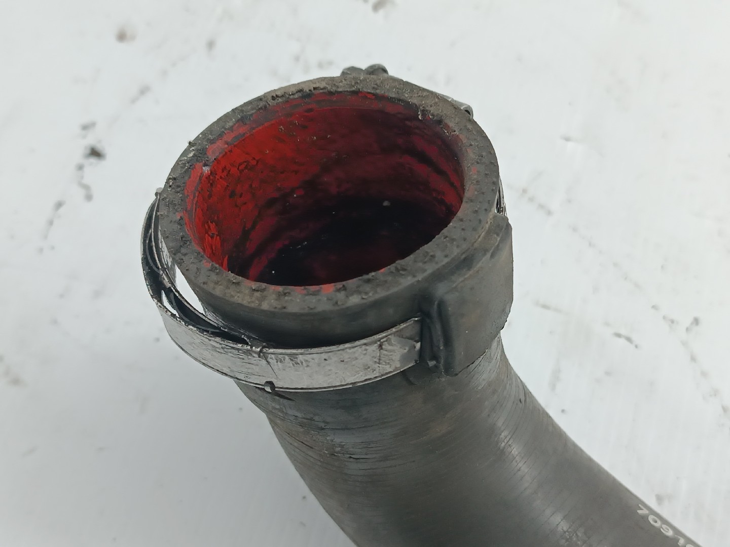 Tubo de radiador RENAULT GRAND SCÉNIC II (JM0/1_) | 04 - 09 Imagem-1