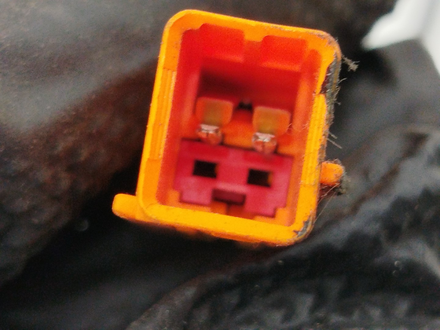 Pré tensor frente direito FORD FOCUS (DAW, DBW) | 98 - 09 Imagem-3