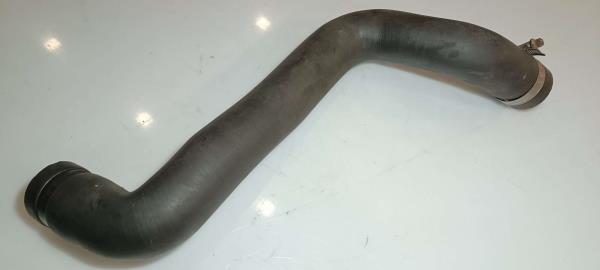 Tubo de Água RENAULT 19 I (B/C53_) | 88 - 94