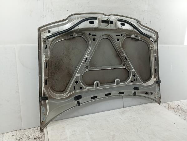 Capot VOLKSWAGEN POLO (6N1) | 94 - 99