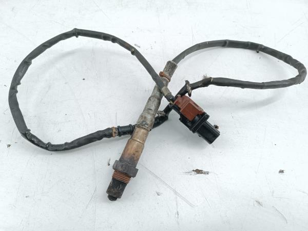 Sonda Lambda AUDI A3 (8L1) | 96 - 06