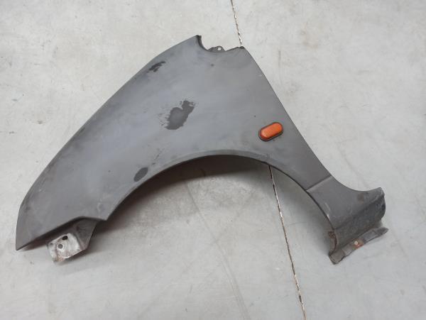 Guarda Lamas Esquerdo RENAULT TWINGO I (C06_) | 93 - 12