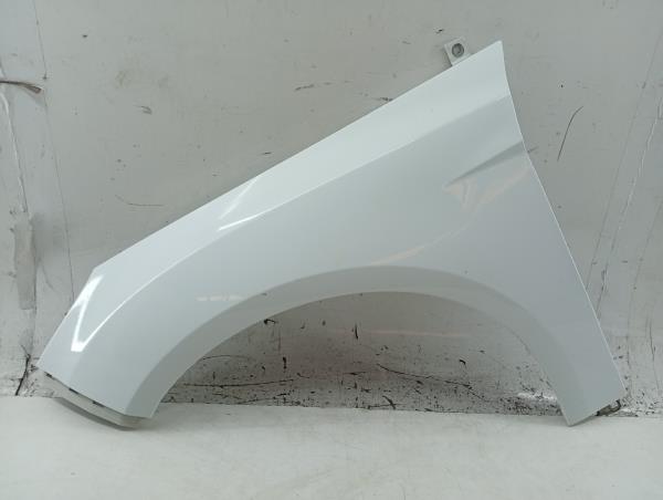Guarda Lamas Esquerdo FORD FOCUS III Caixa/Hatchback | 11 - 
