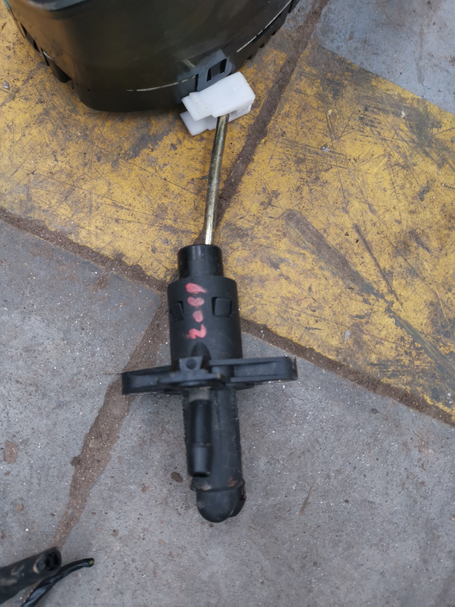 SENSOR (169174).
