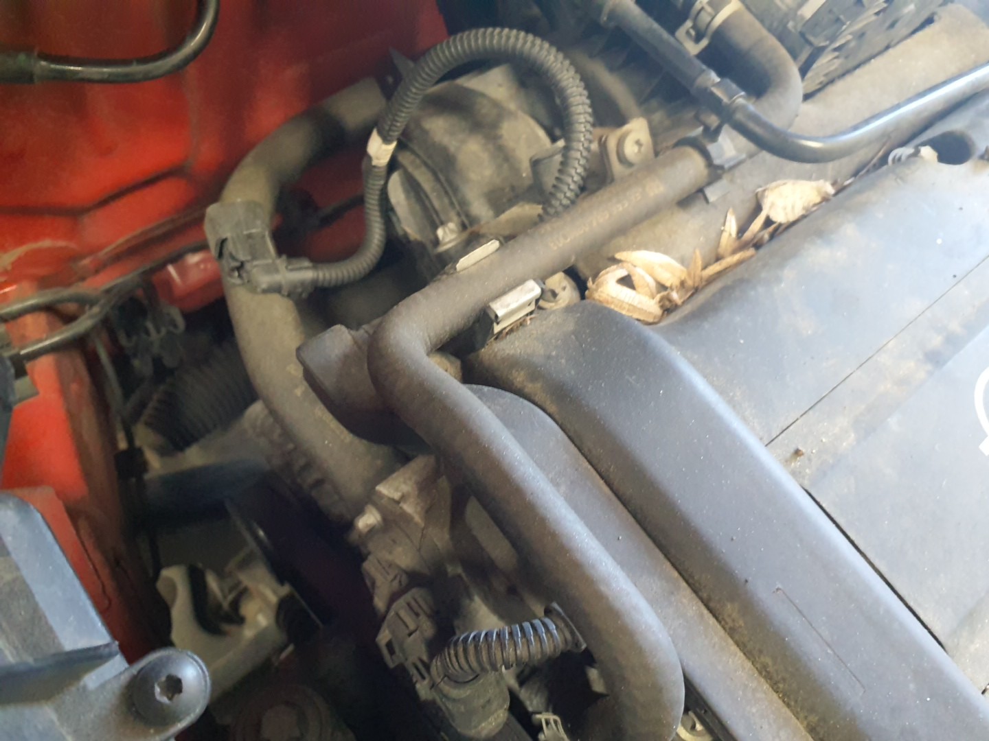 MOTOR COMPLETO OPEL CORSA D (S07) | 06 - 14 Imagem-3