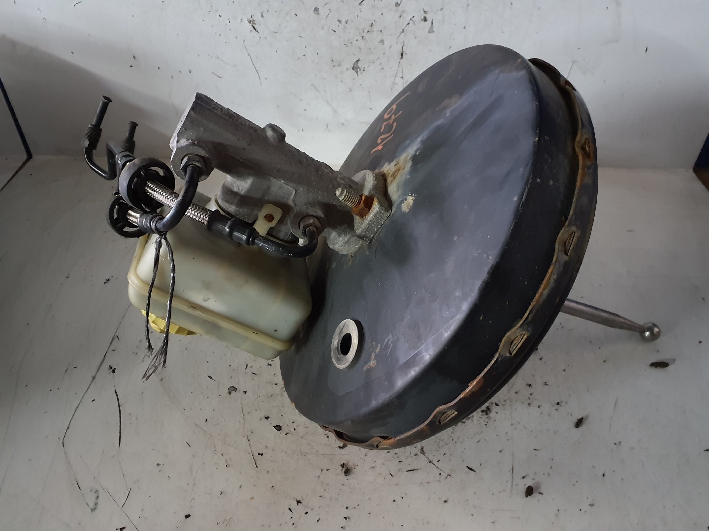 SERVOFREIO VOLKSWAGEN GOLF IV (1J1) | 97 - 07