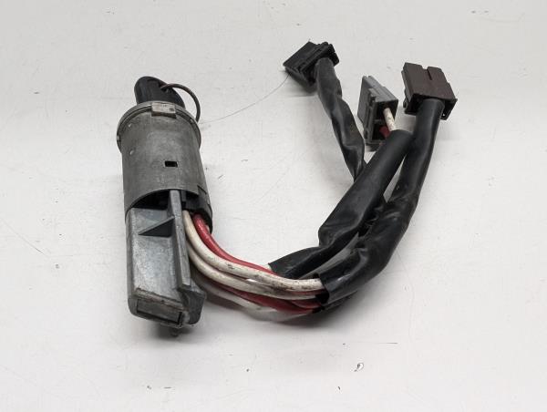 CANHAO IGNIÇÃO pour CITROEN ZX (1991- 1999) | Protamb