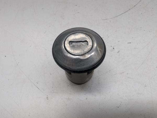 CANHAO PORTA FIAT PUNTO (176_) | 93 - 99
