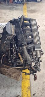 MOTOR (170446).