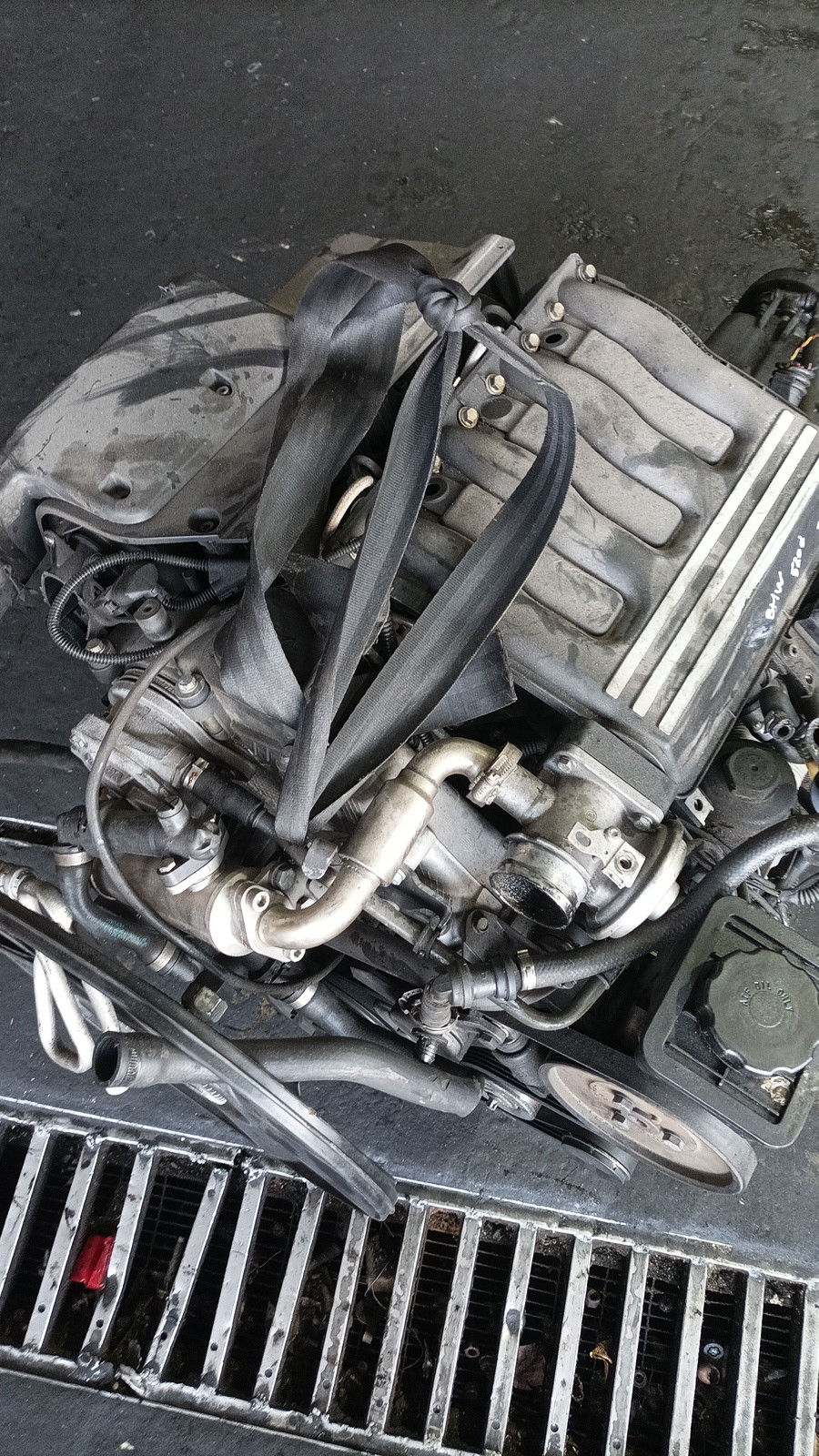 Motor Completo BMW 5 (E39) | 95 - 03 Imagem-1