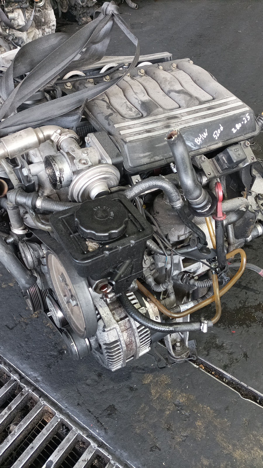 Motor Completo BMW 5 (E39) | 95 - 03 Imagem-2