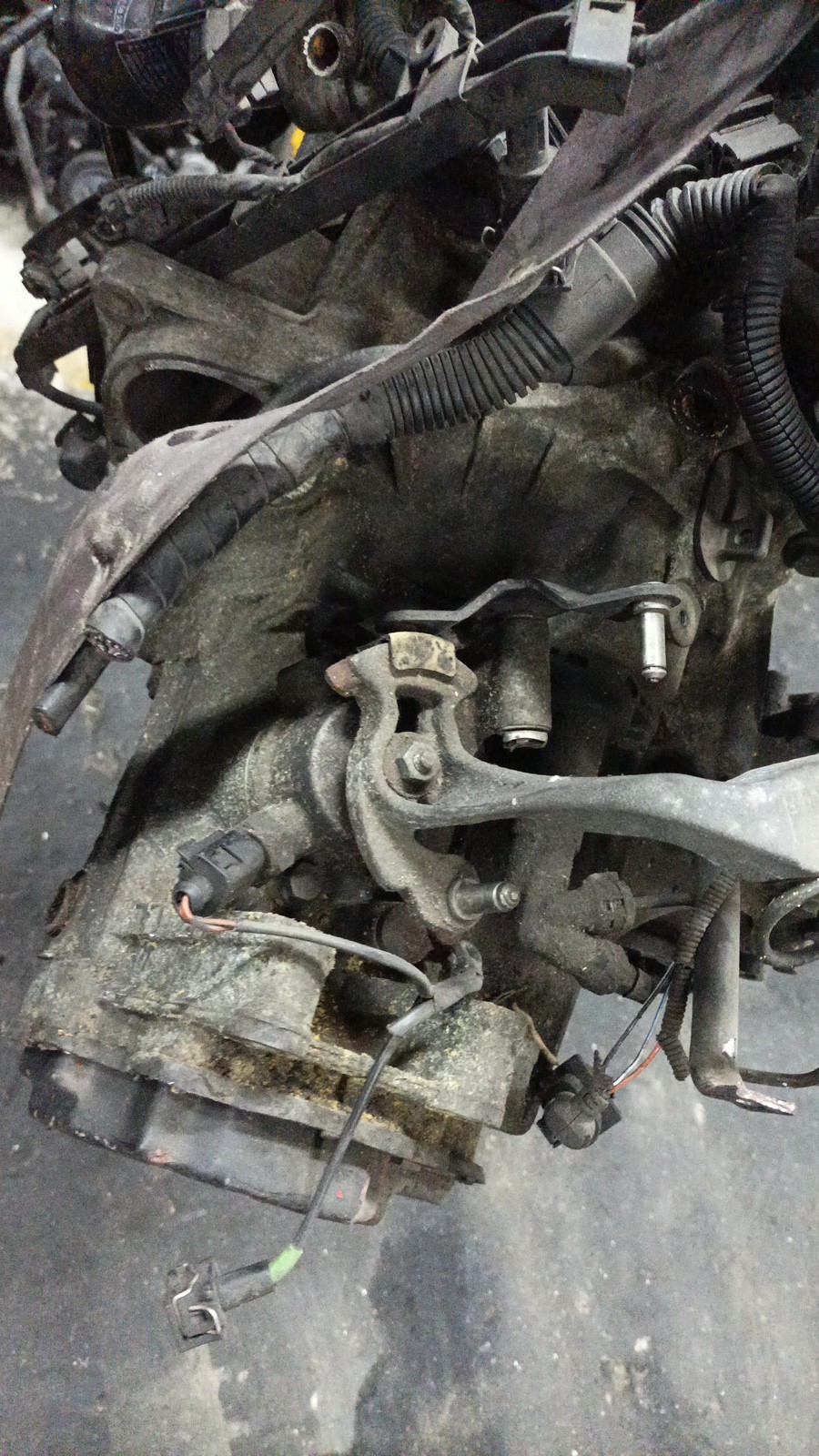 Caixa de Velocidades SEAT LEON (1M1) | 99 - 06 Imagem-1