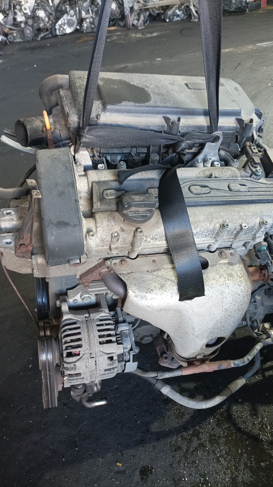 Motor Completo SEAT LEON (1M1) | 99 - 06 Imagem-1