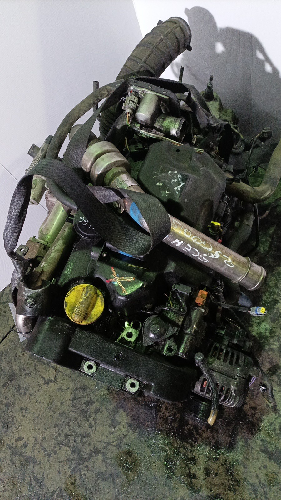 Motor Completo RENAULT MEGANE II (BM0/1_, CM0/1_) | 01 - 12 Imagem-1