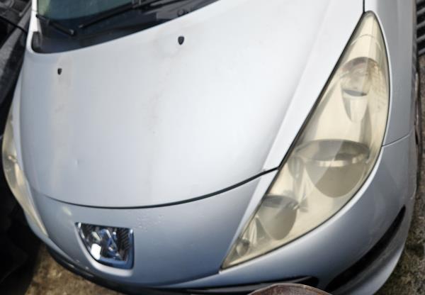 207  PEUGEOT - ID V_CVFV165726