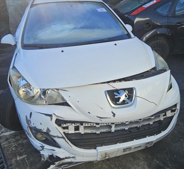 207  PEUGEOT - ID V_CVFV165734