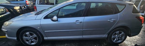 407  PEUGEOT - ID V_CVFV165756