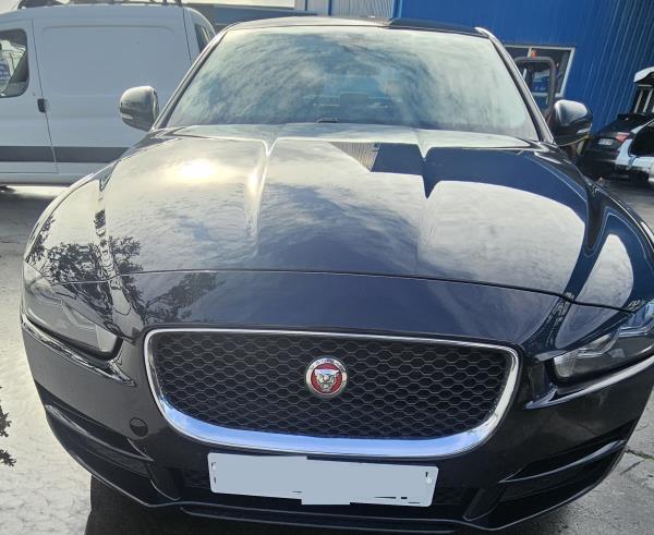 XE  JAGUAR - ID V_CVFV165757