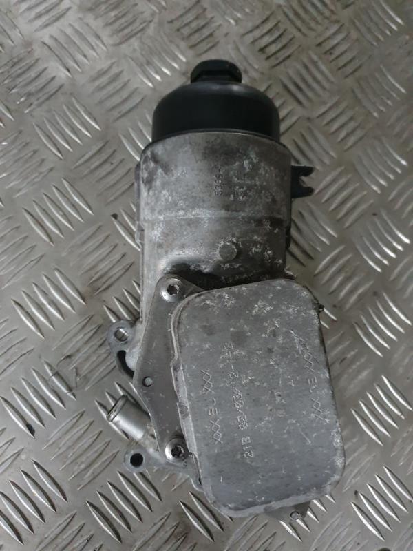Radiador de Arrefecimento de Óleo CITROEN C3 II (SC_) | 09 - 