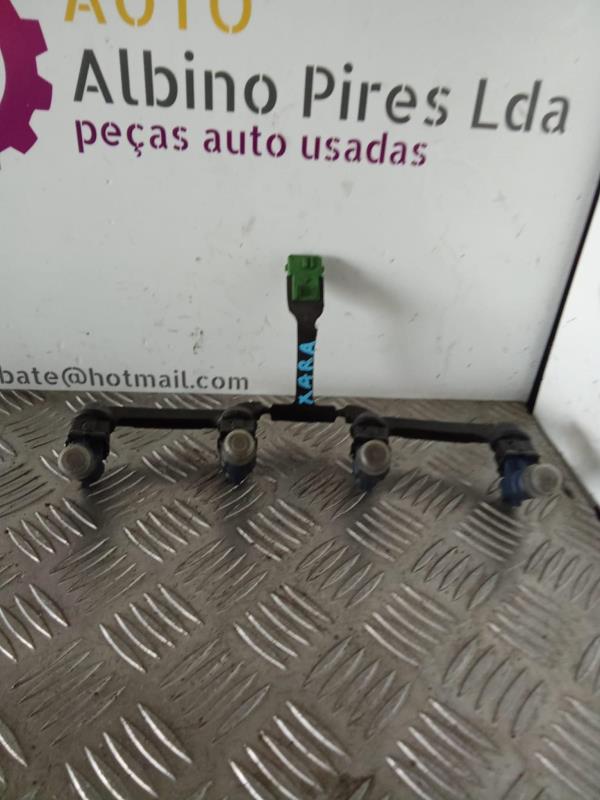 Injetores CITROEN XSARA (N1) | 97 - 05 Imagem-1