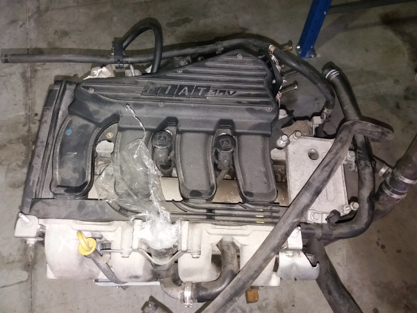 Engine FIAT BRAVO I (182_) | 95 - 01