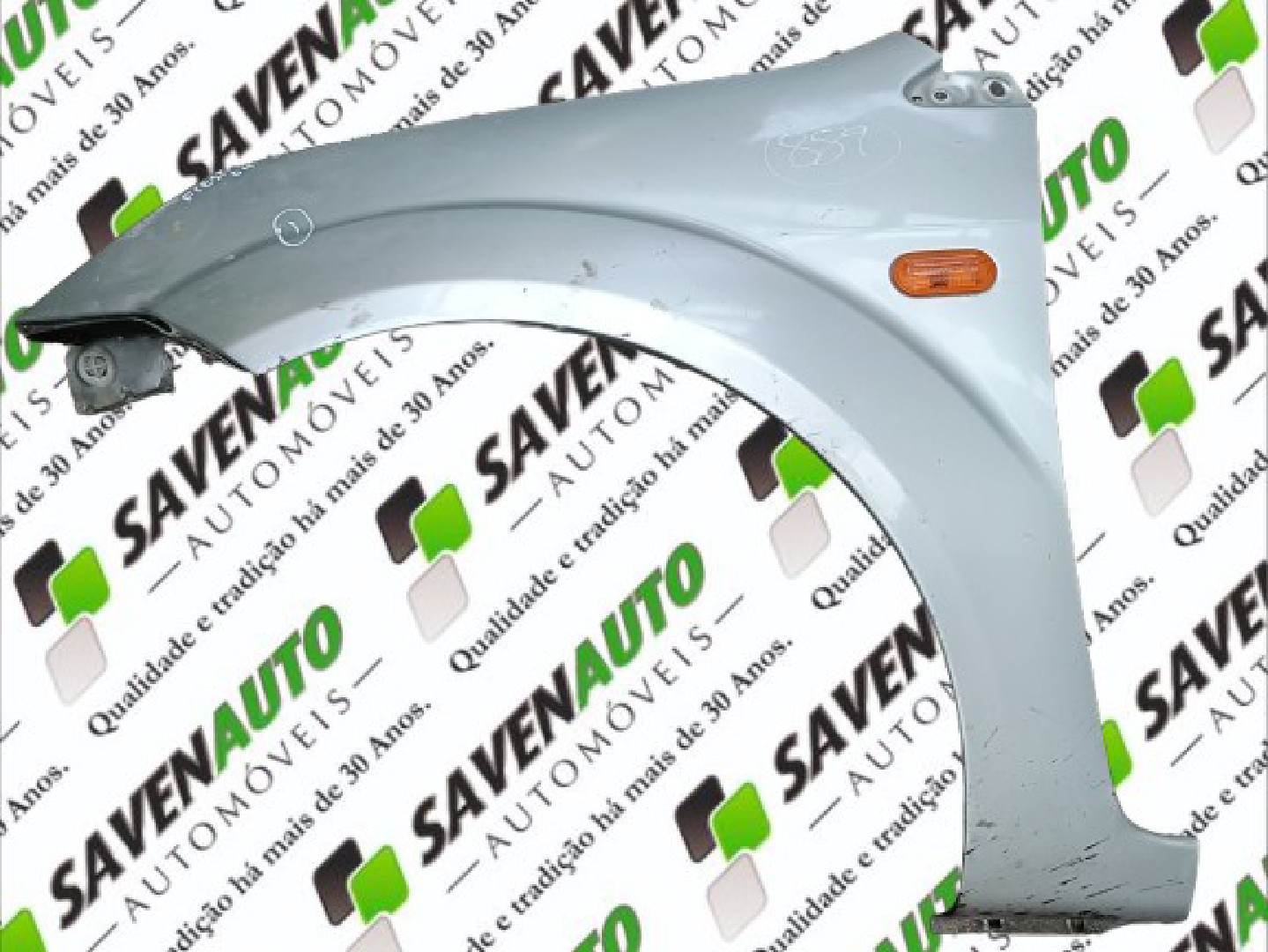 Guarda Lamas Esq FORD FIESTA V (JH_, JD_) | 01 - 14
