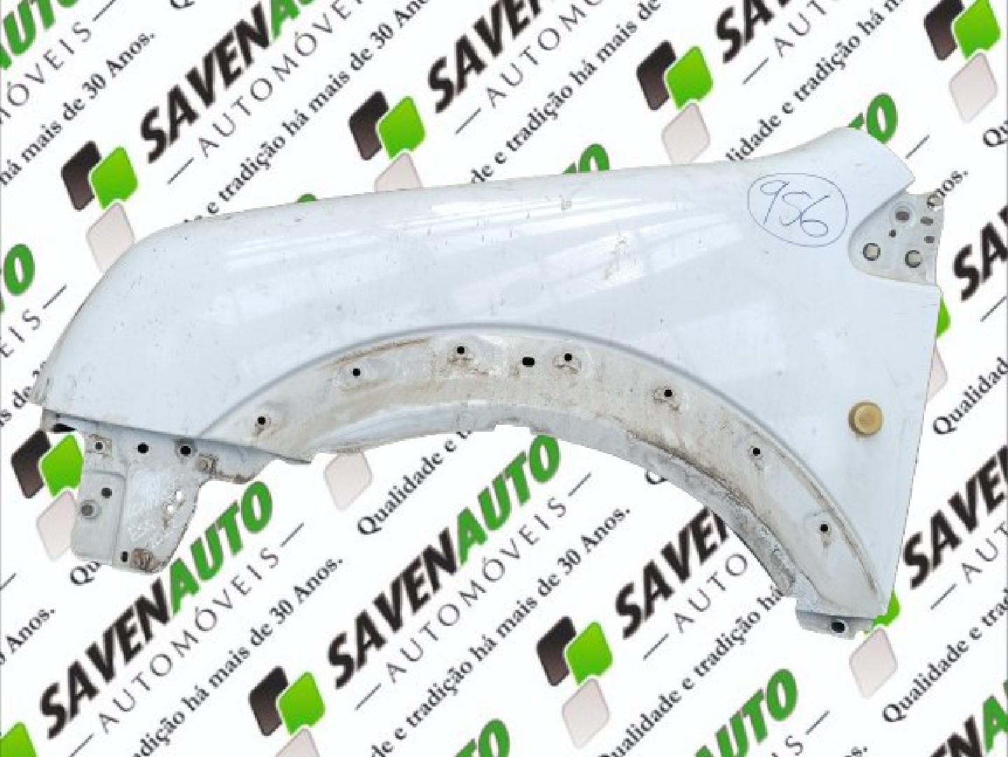 Guarda Lamas Esq FORD TRANSIT CONNECT (P65_, P70_, P80_) | 02 - 