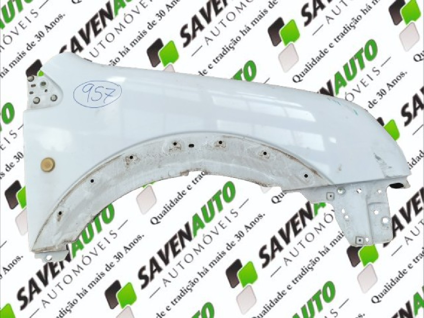 Guarda Lamas Dto FORD TRANSIT CONNECT (P65_, P70_, P80_) | 02 - 