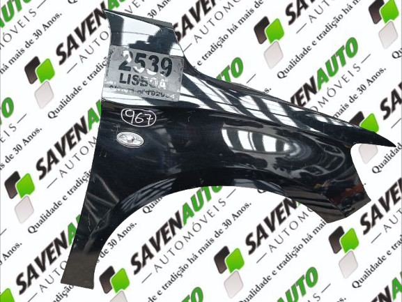 Guarda Lamas Dto CITROEN C-ELYSEE (DD_) | 12 - 