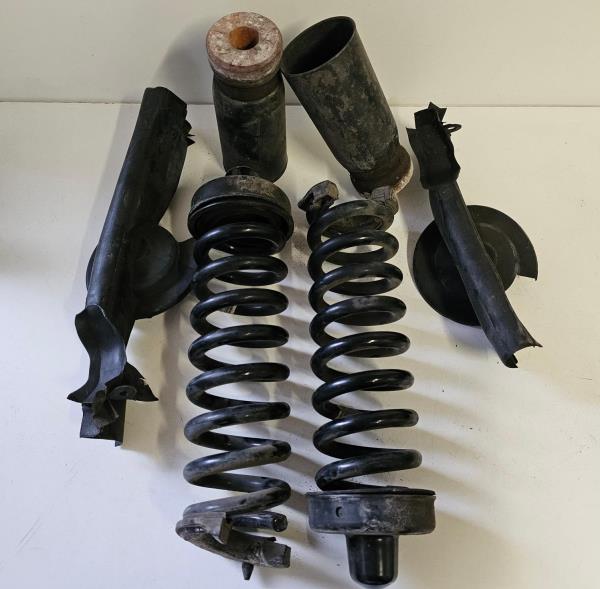Conjunto Molas Traseiras BMW 1 (F20) | 11 - 19