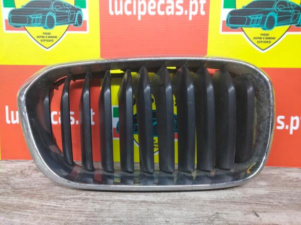 Grelha da Frente BMW (F20/21) 15-18 Imagem-1