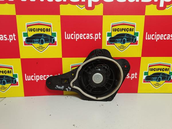 Coluna de Som  PEUGEOT 3008 II 21- Imagem-1