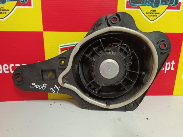 Coluna de Som  PEUGEOT 3008 II 21- Imagem-2