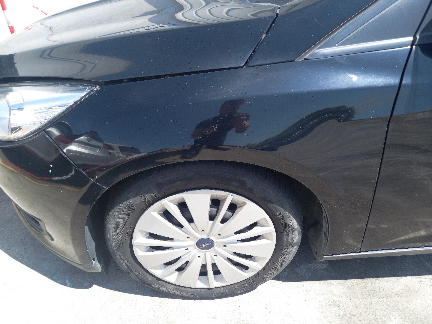 Guarda Lamas Esquerdo FORD FOCUS III | 10 - 