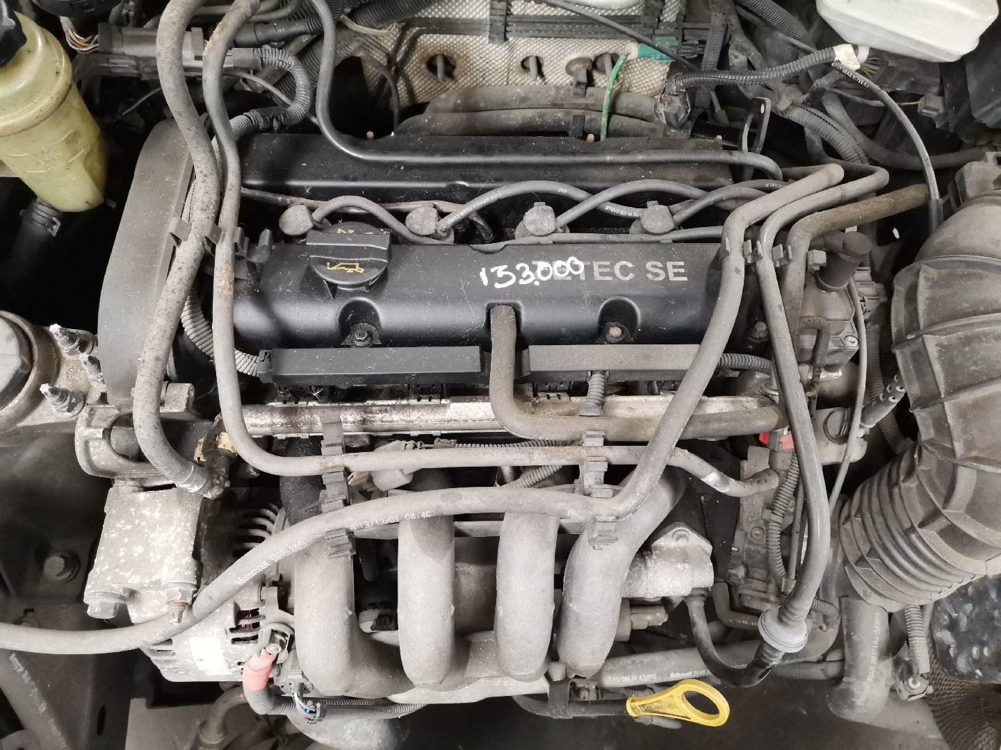 Motor Gasolina FORD FOCUS Caixa/Combi (DNW) | 98 - 05