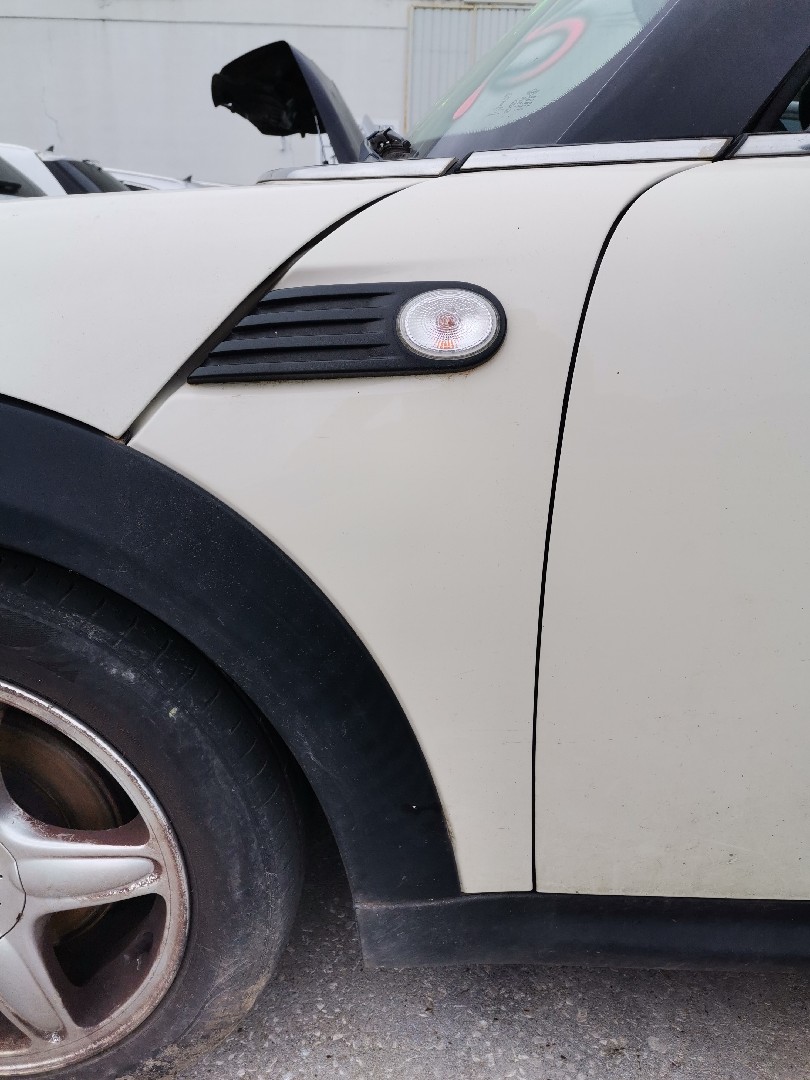 Guarda Lamas Esquerdo MINI MINI (R56) | 05 - 14